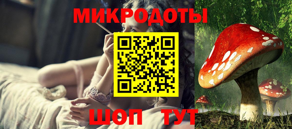 Псилоцибиновые грибы Psilocybe Назрань